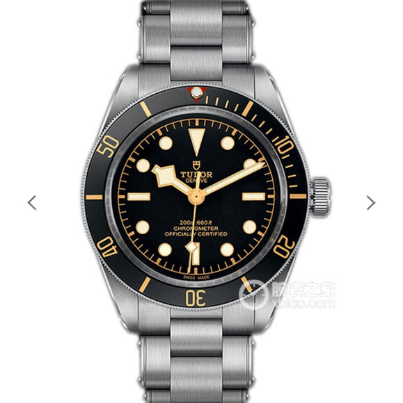 ZF帝舵碧湾系列M79030N-0001腕表，精钢表带 自动机械男士腕表